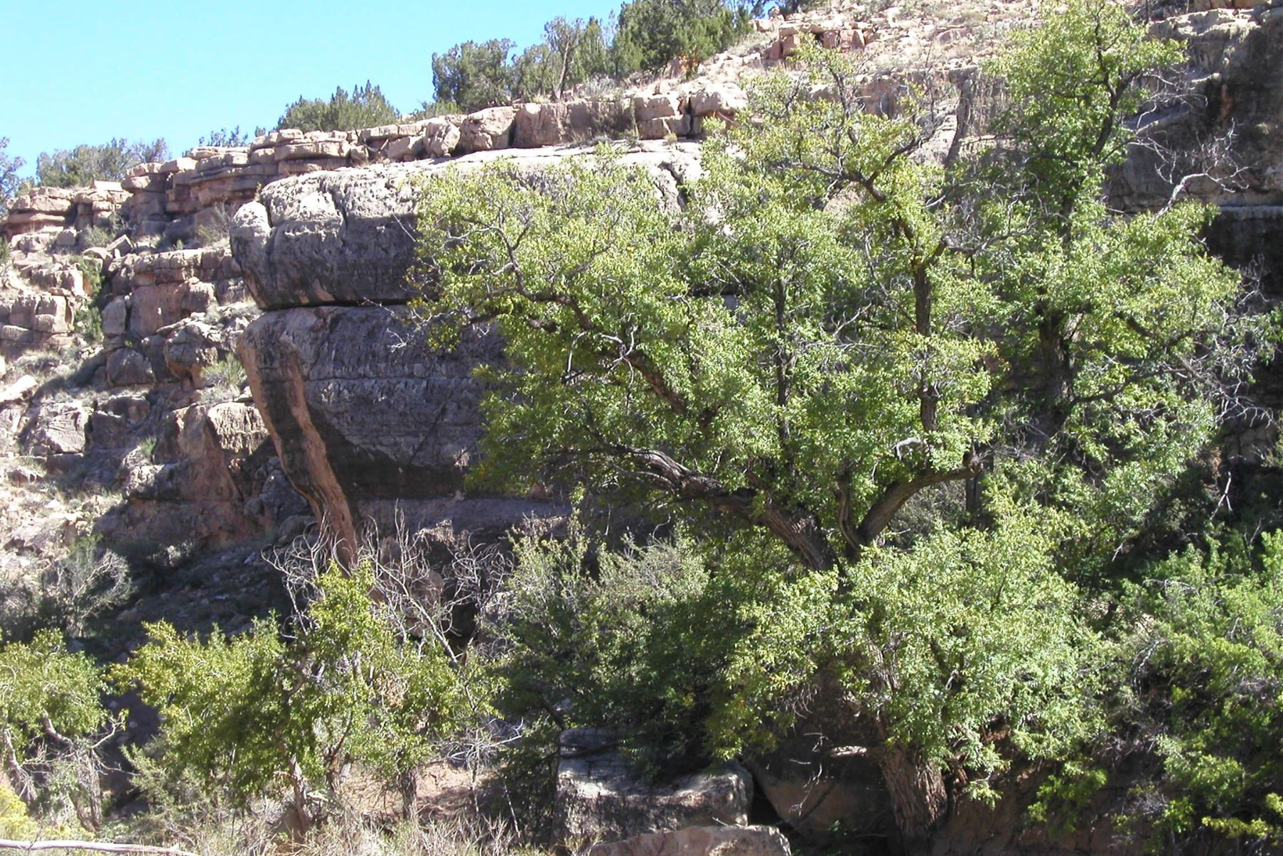 Black Canyon Creek Ranch Arizona Land for Sale