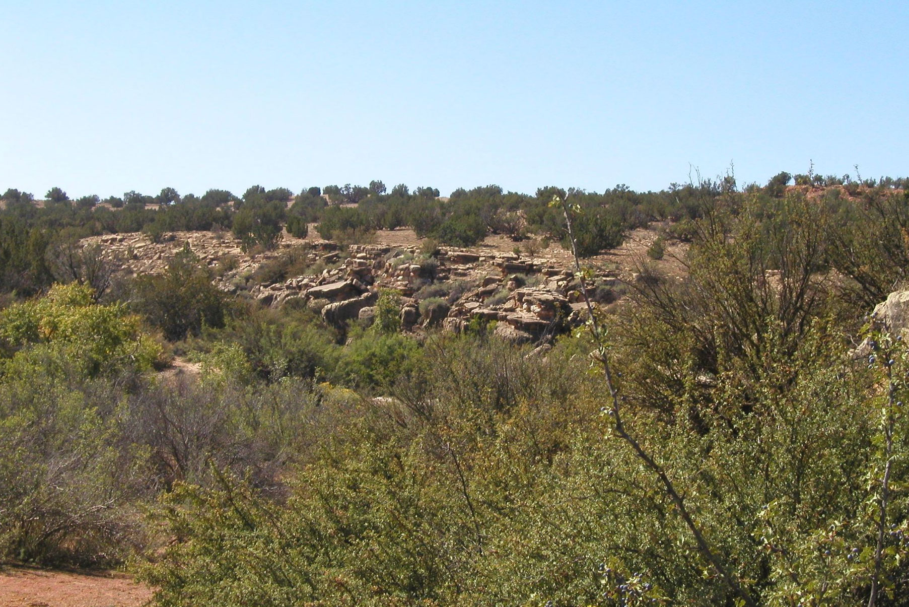 Black Canyon Creek Ranch Arizona Land for Sale