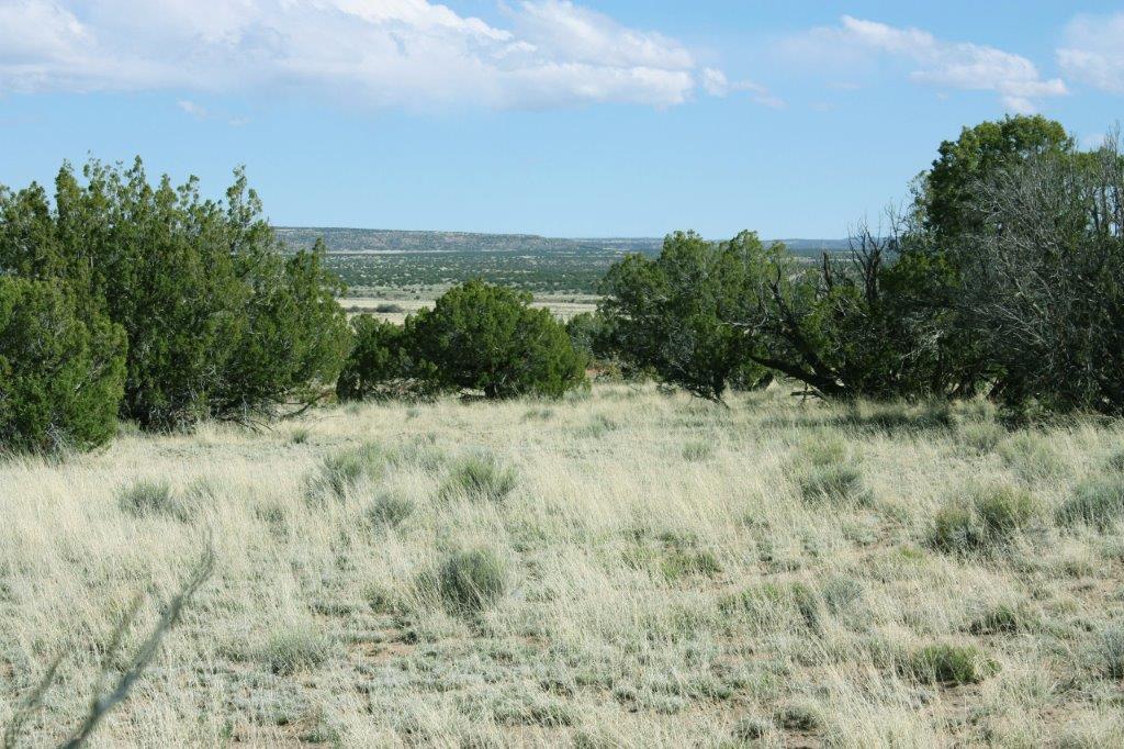 Photo Album Arizona Land for Sale