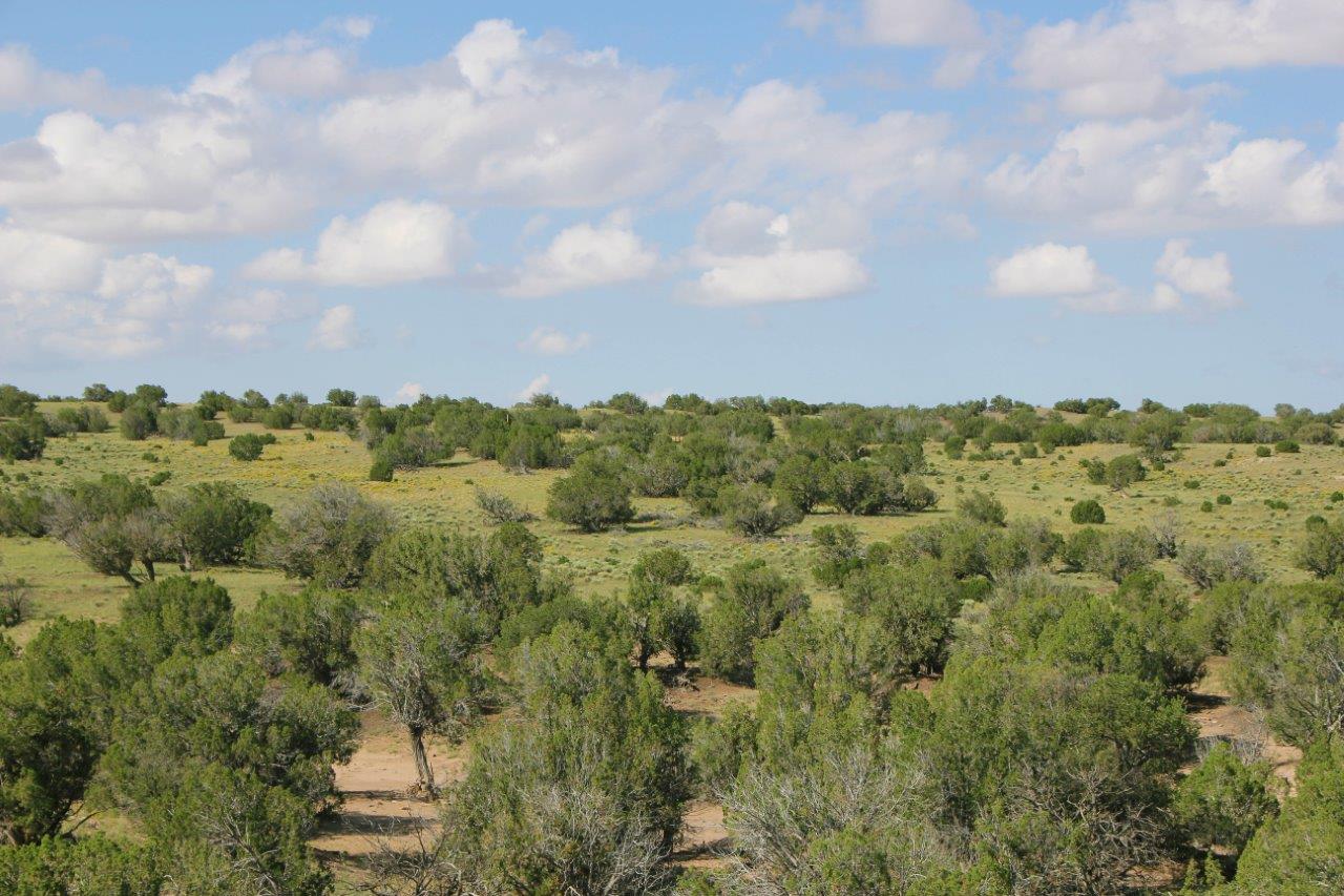 Photos Arizona Land for Sale