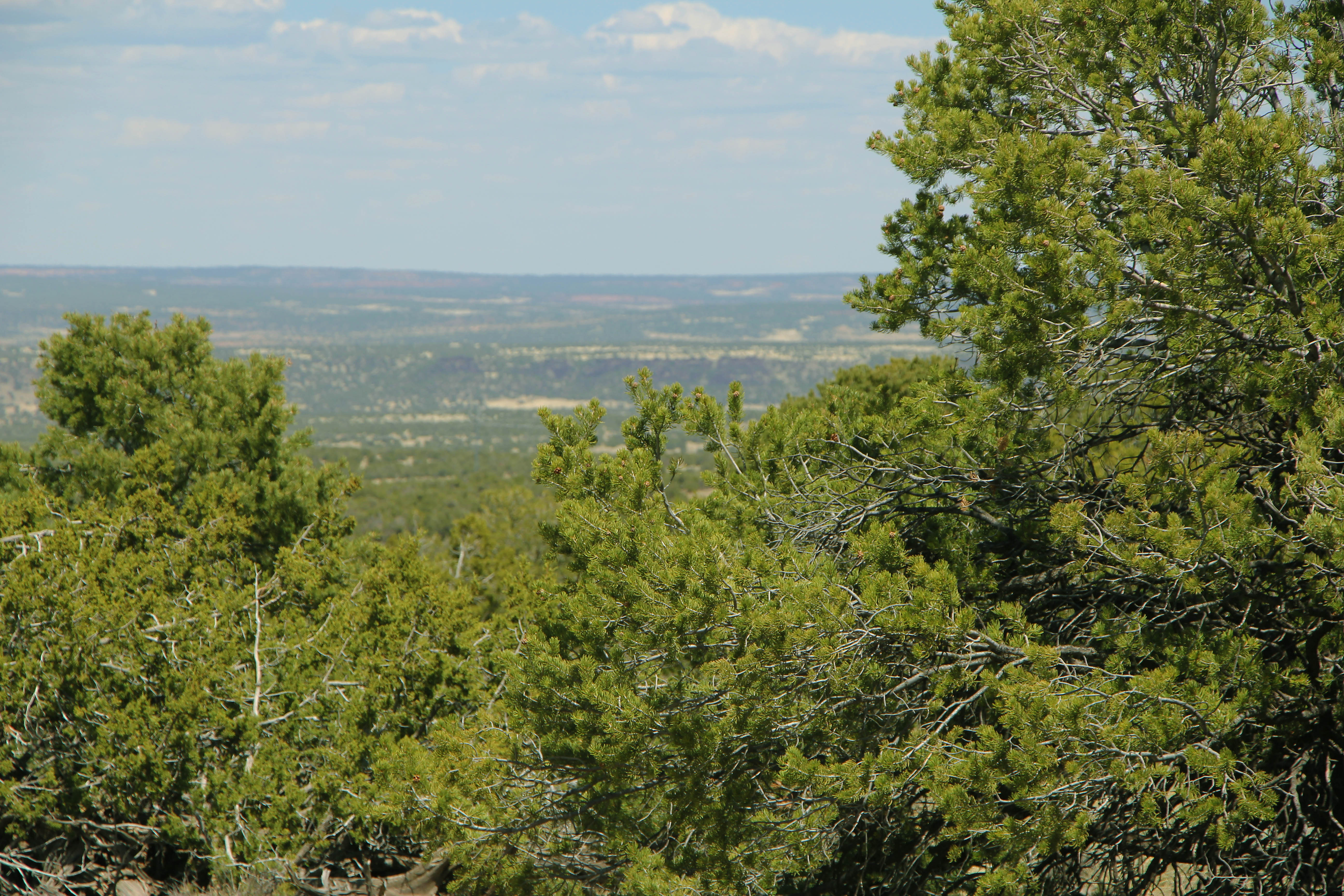 Photo Album Arizona Land for Sale