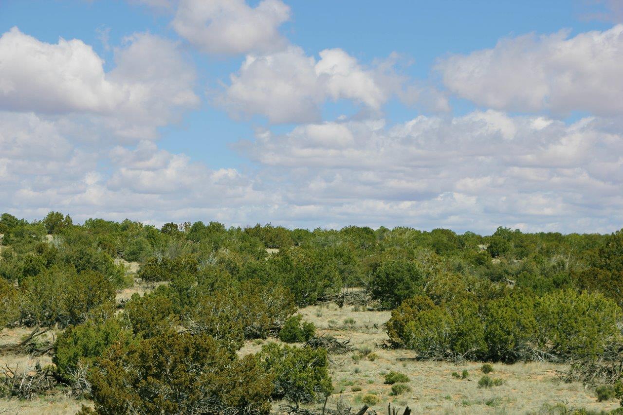 Photos Arizona Land for Sale