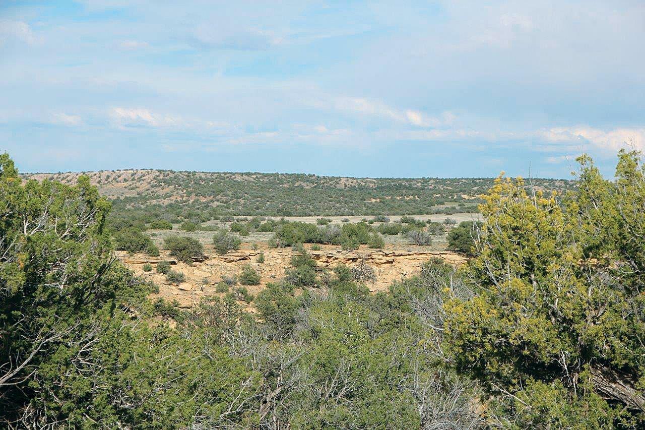 Photo Album Arizona Land for Sale