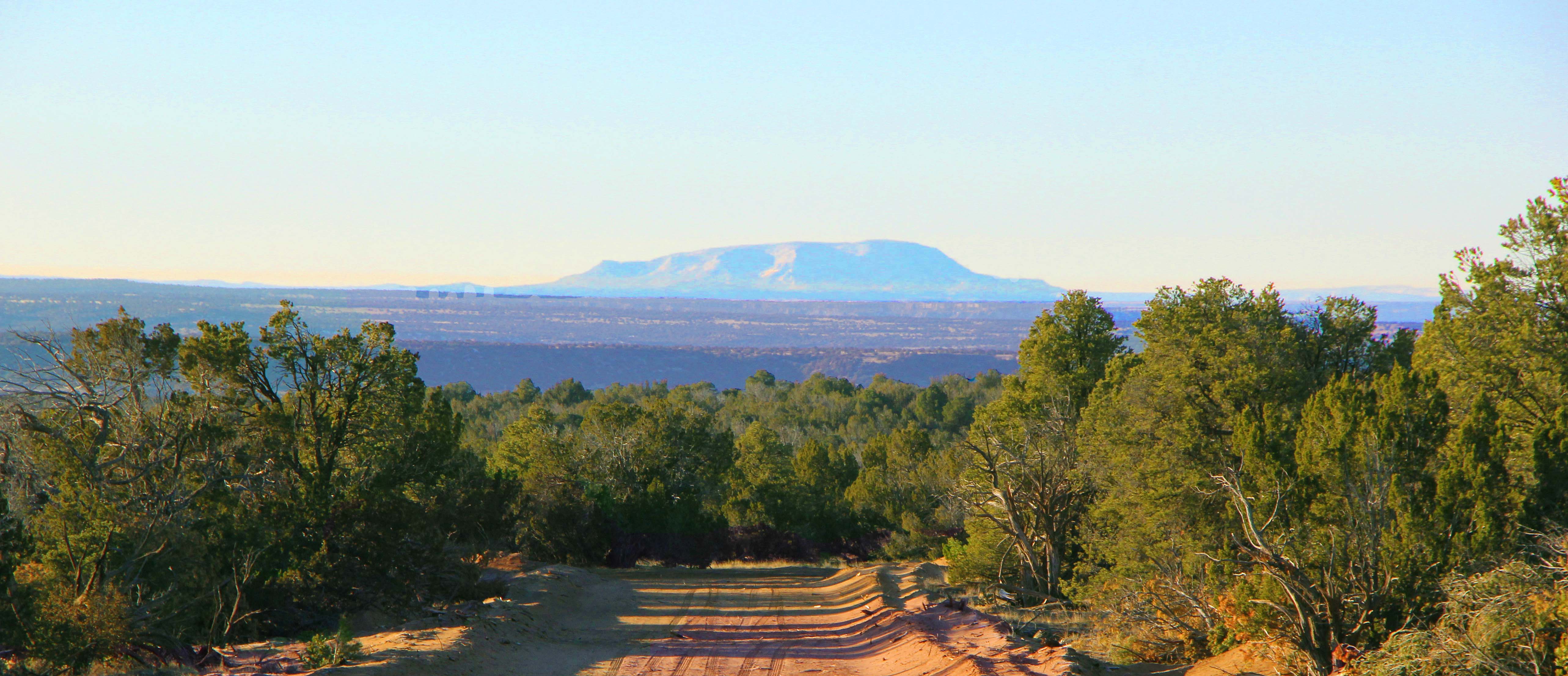 Aripine Az Land For Sale at Wade Grimm blog