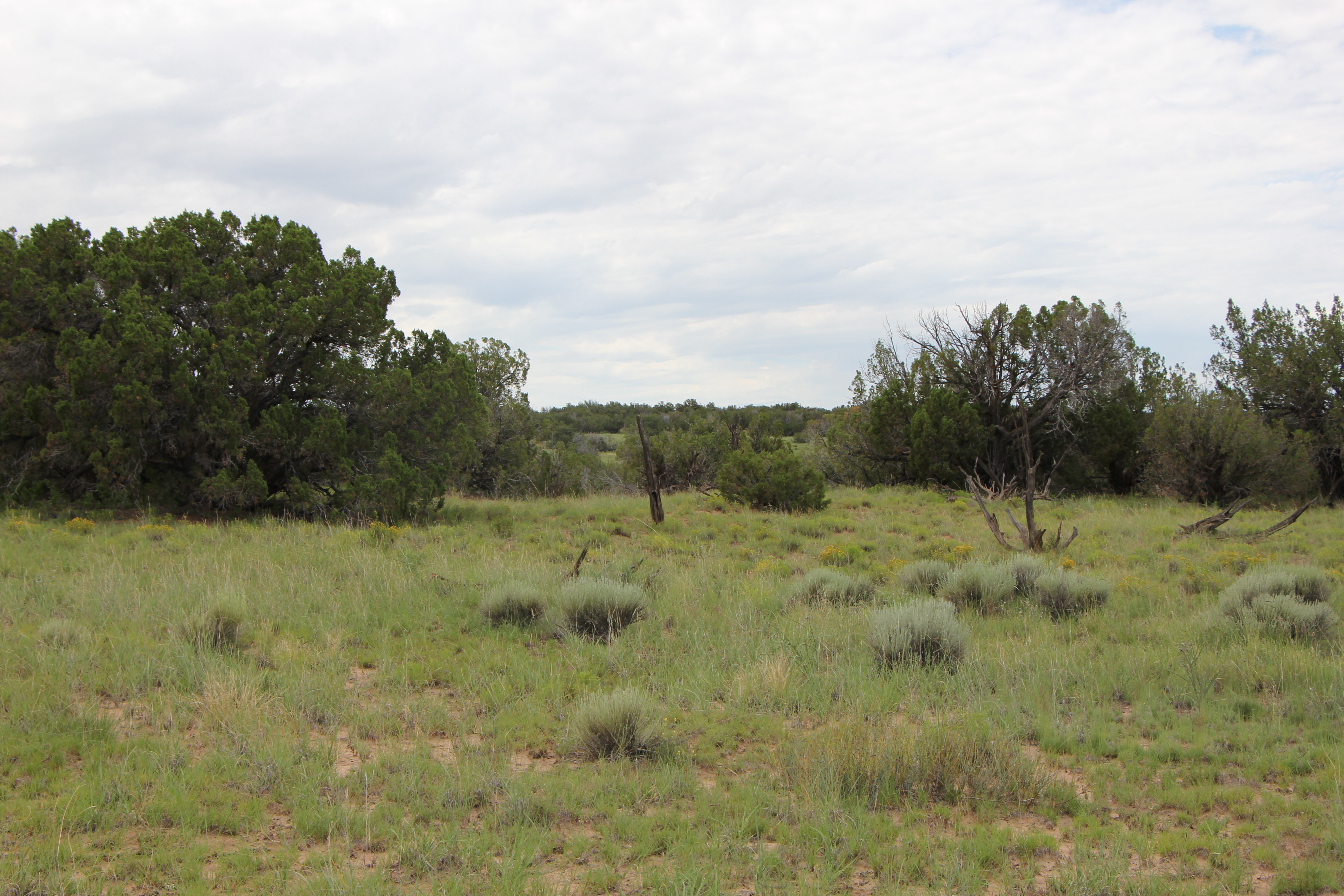 Photo Album Arizona Land for Sale