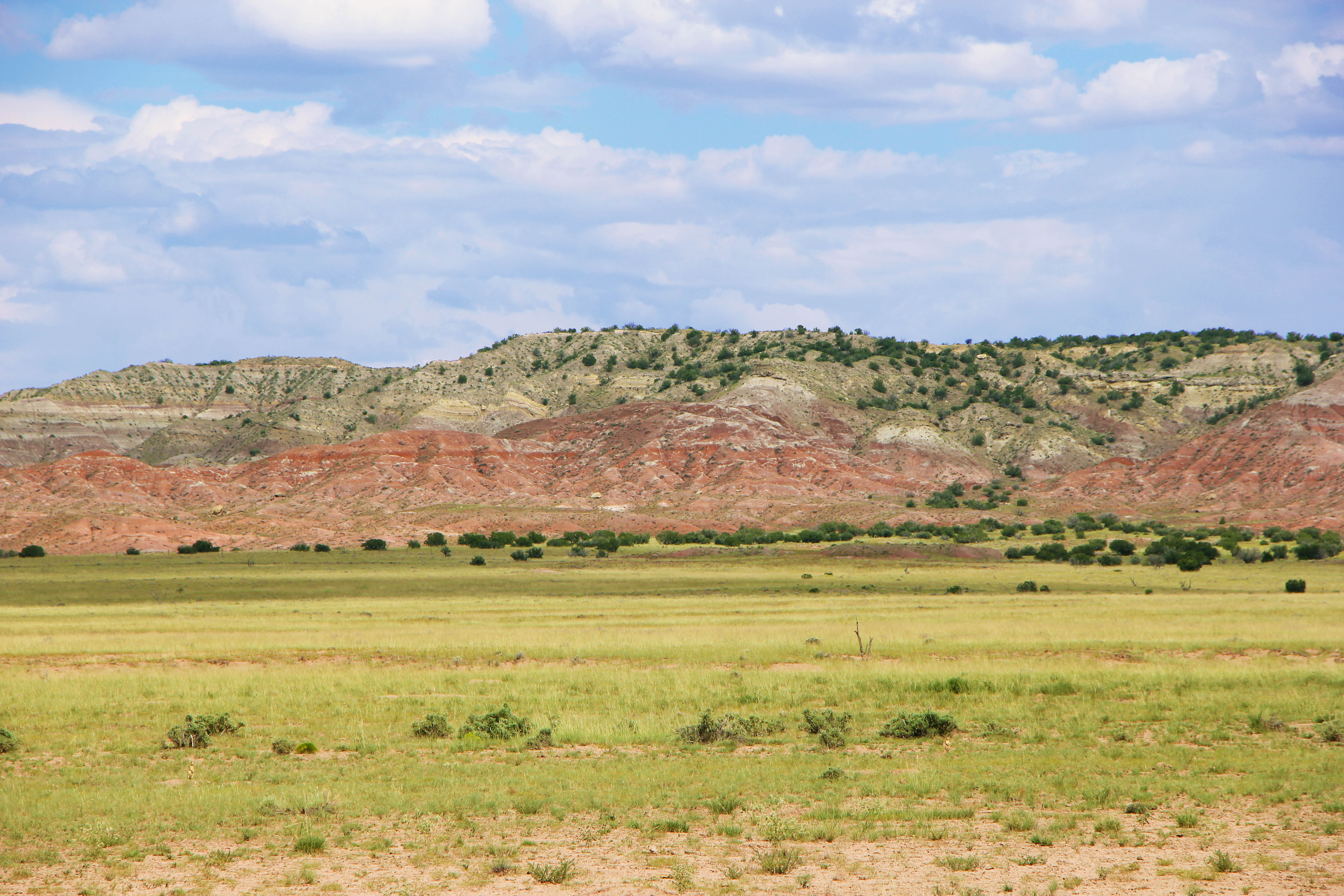 Ranch land for sale in az