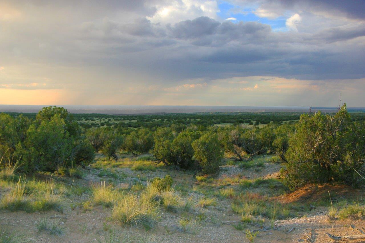 Photos Arizona Land for Sale