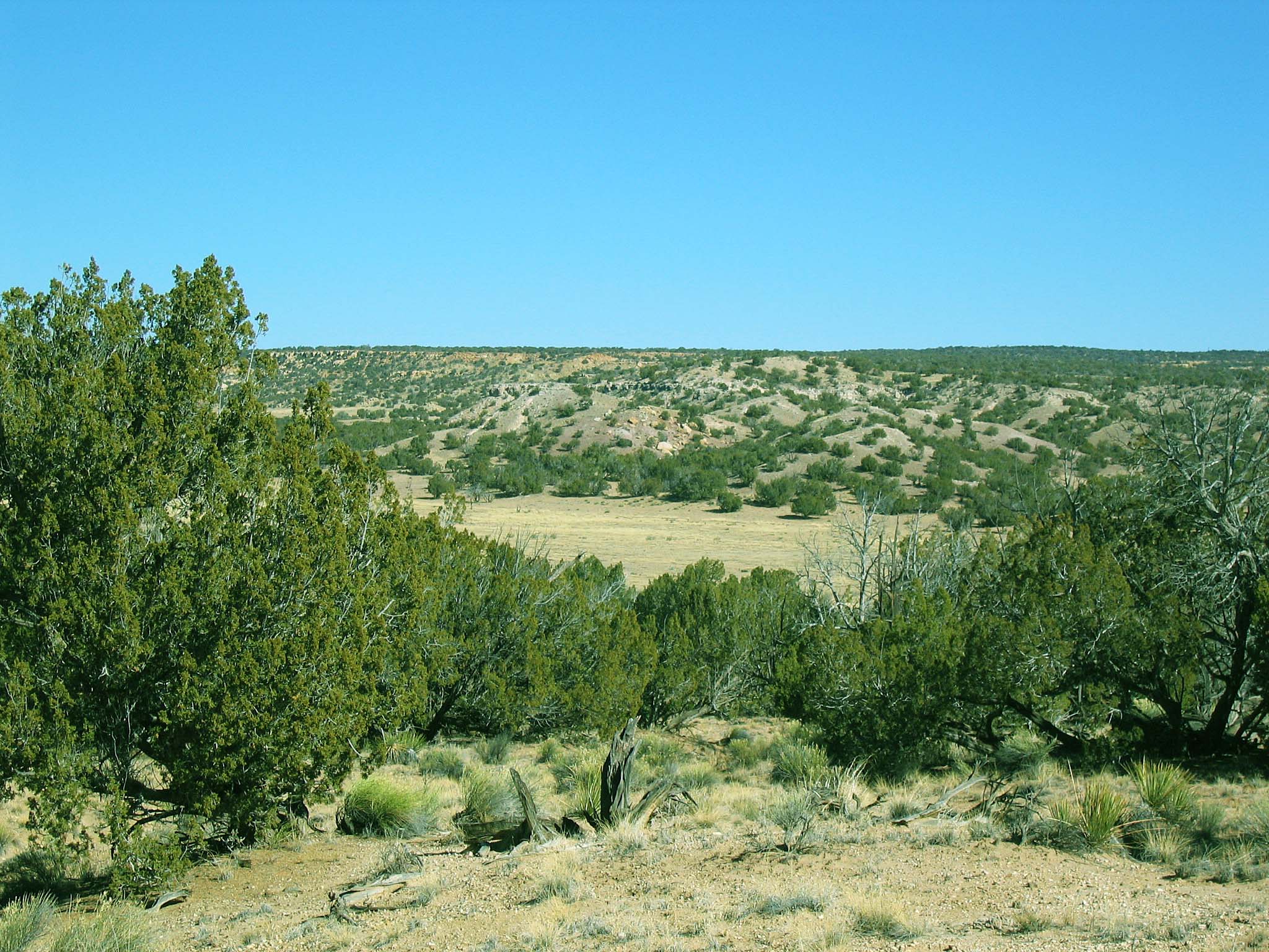 Ranch land for sale in az
