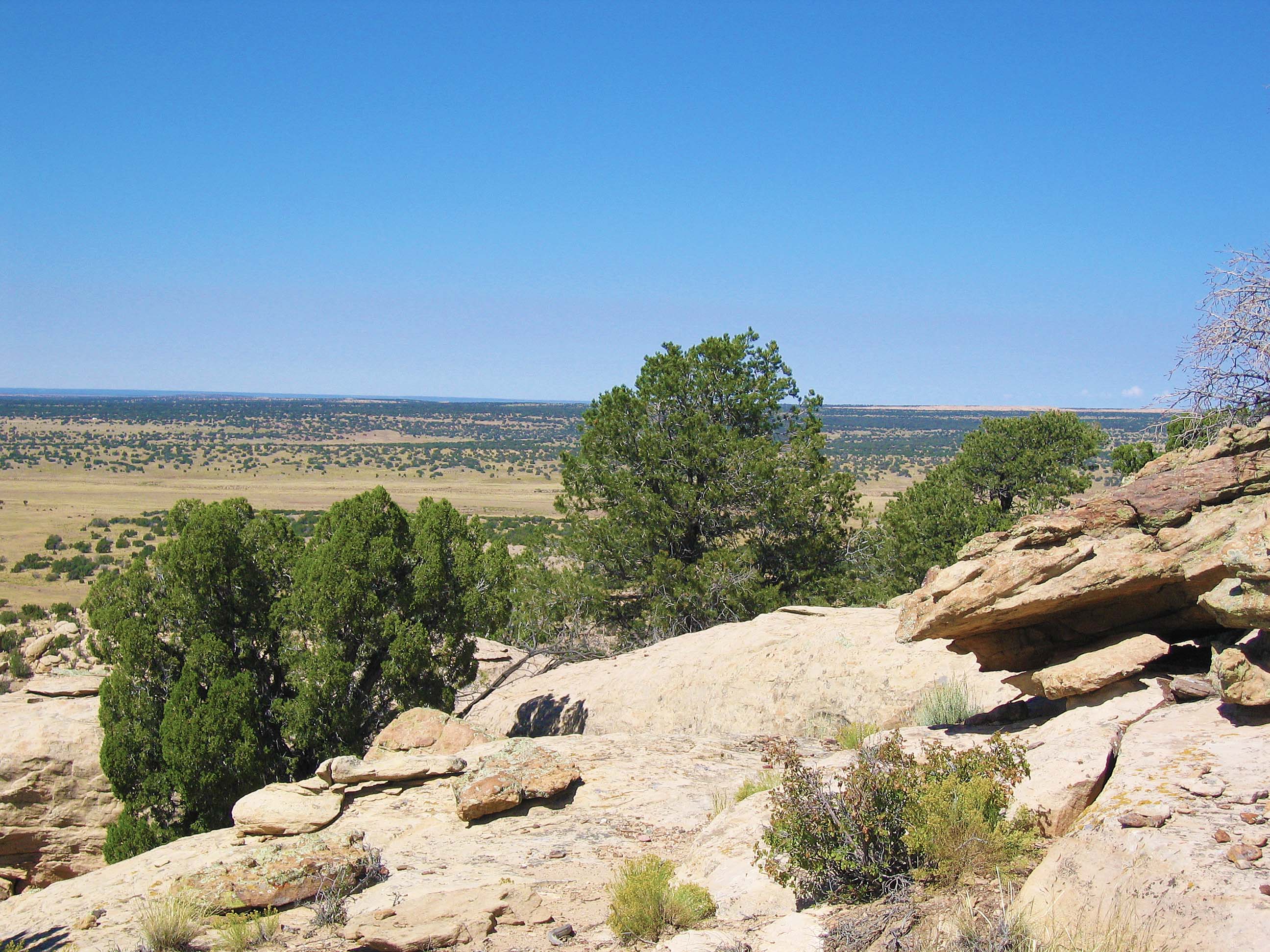 Photo Album Arizona Land for Sale