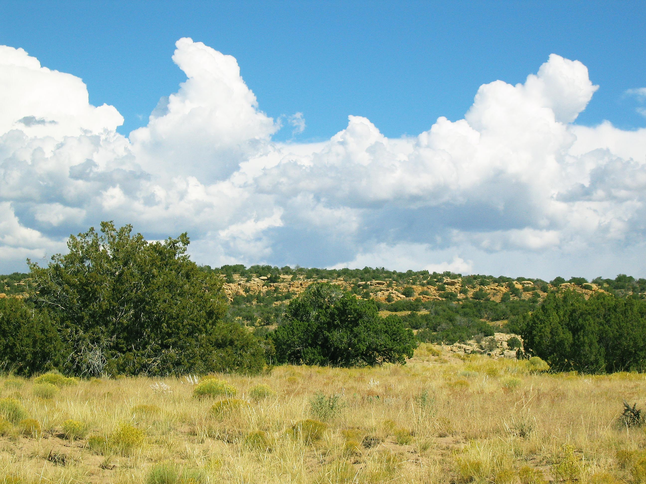 Photo Album Arizona Land for Sale