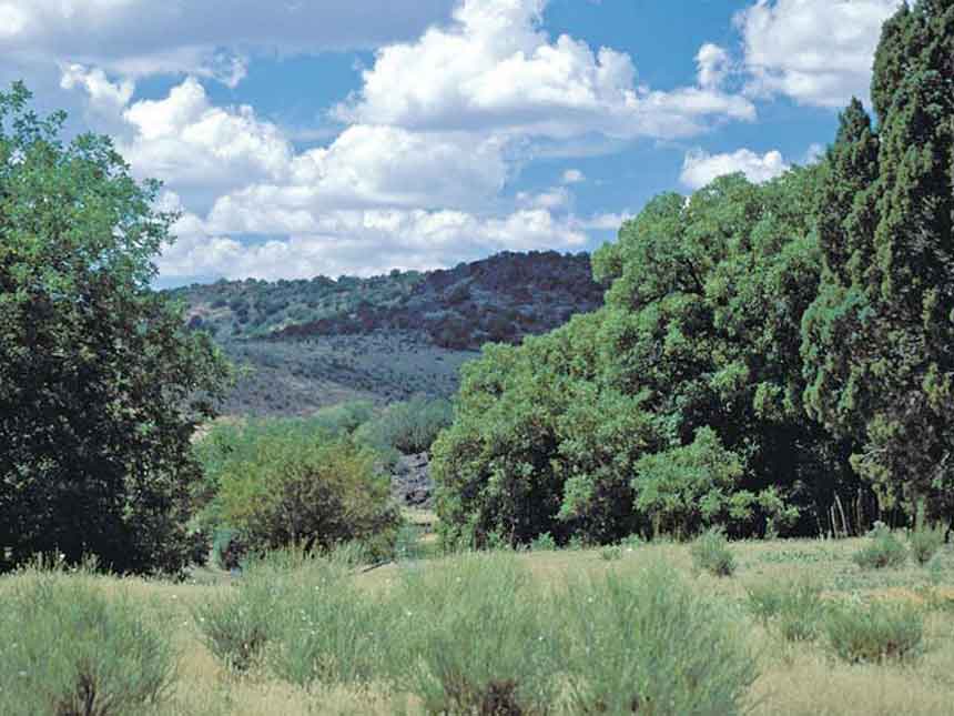 Photo Album Arizona Land for Sale