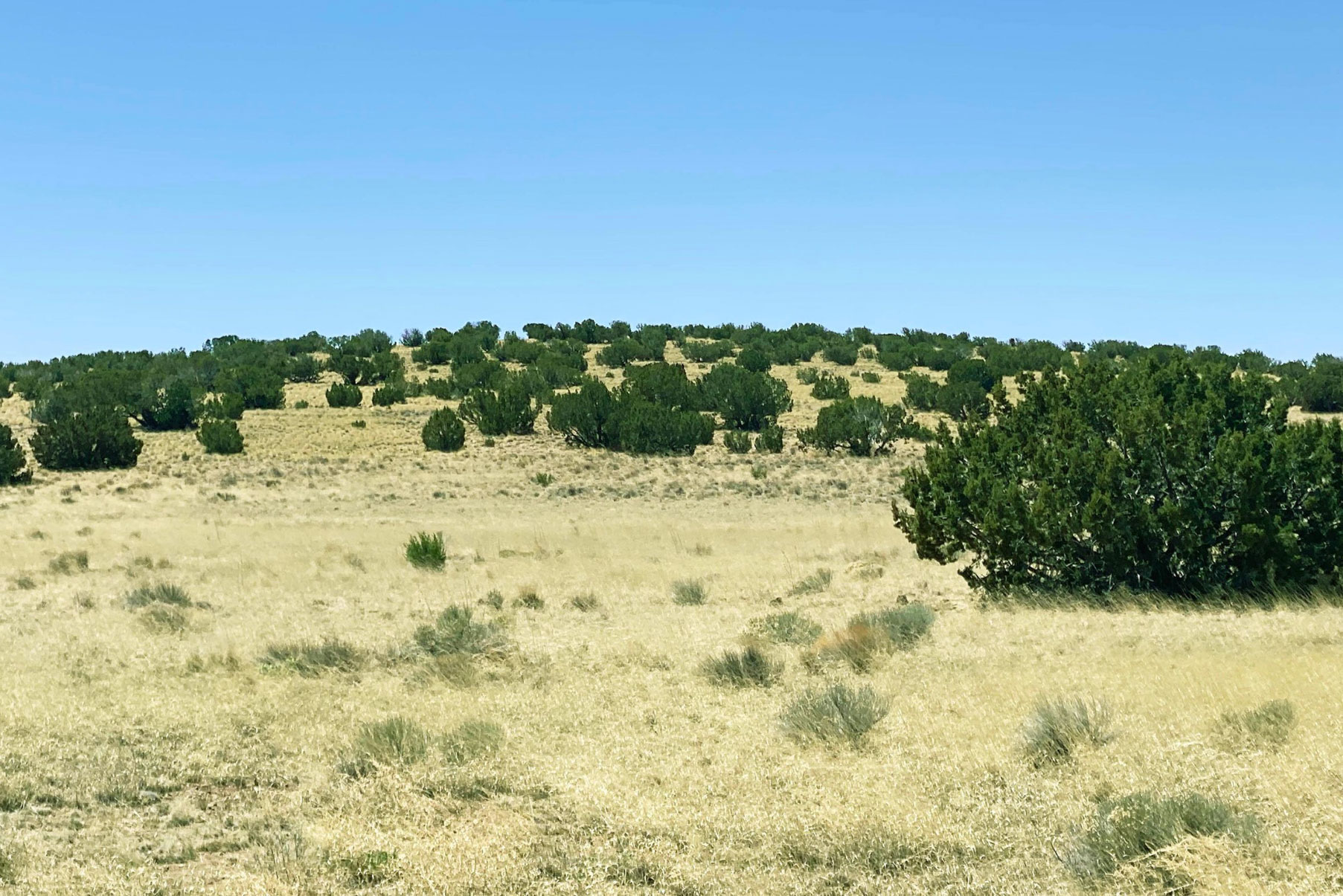 Ultimate Seclusion on 37 Acre Northern AZ Ranch Arizona Land for Sale