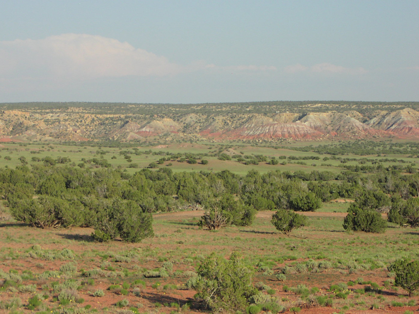 Ranch land for sale in az