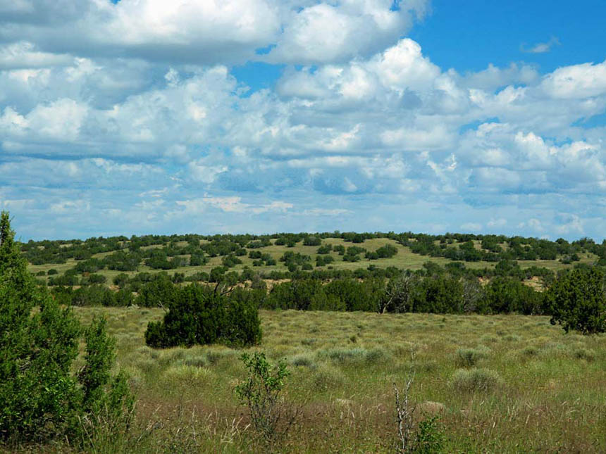 Photo Album Arizona Land for Sale