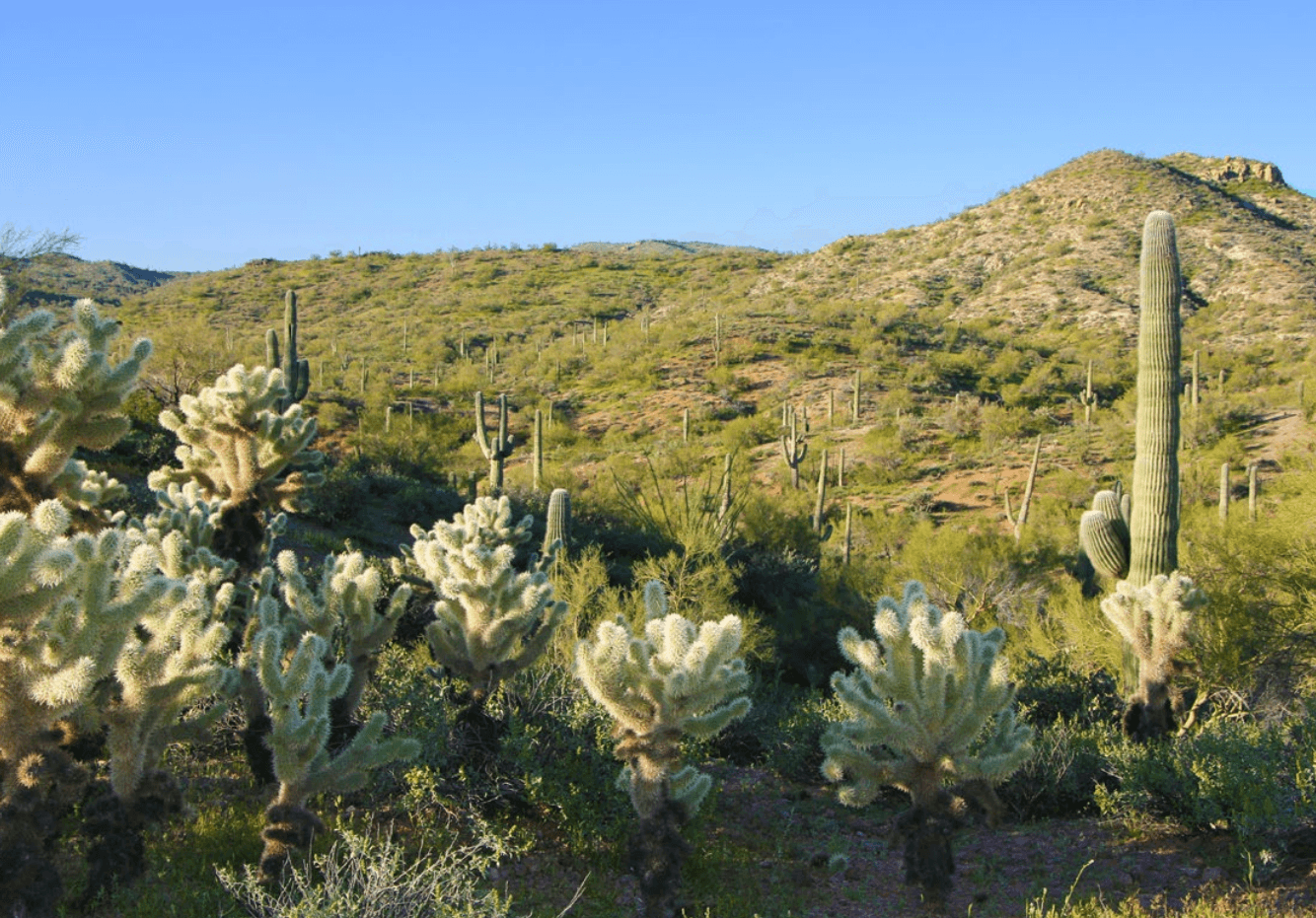 Wickenburg Mountain Ranch Arizona Land for Sale