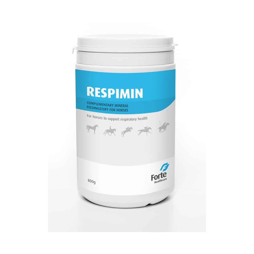 Respiratory health supplement for horses