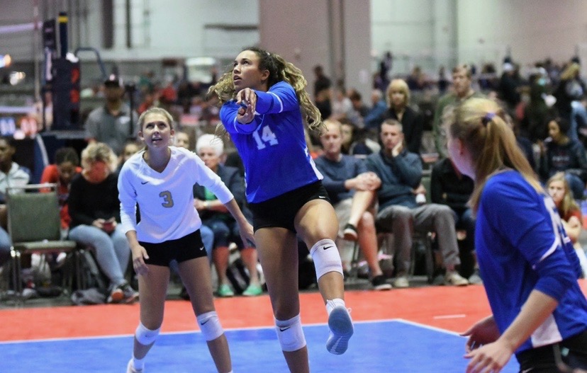 New Hogs on the Block Taylor Head Arkansas Razorbacks