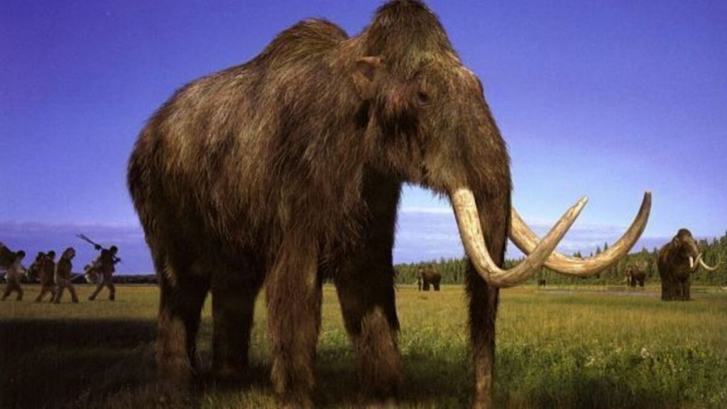 During roadwork in Oregon, a woolly mammoth tusk was discovered Arkeonews