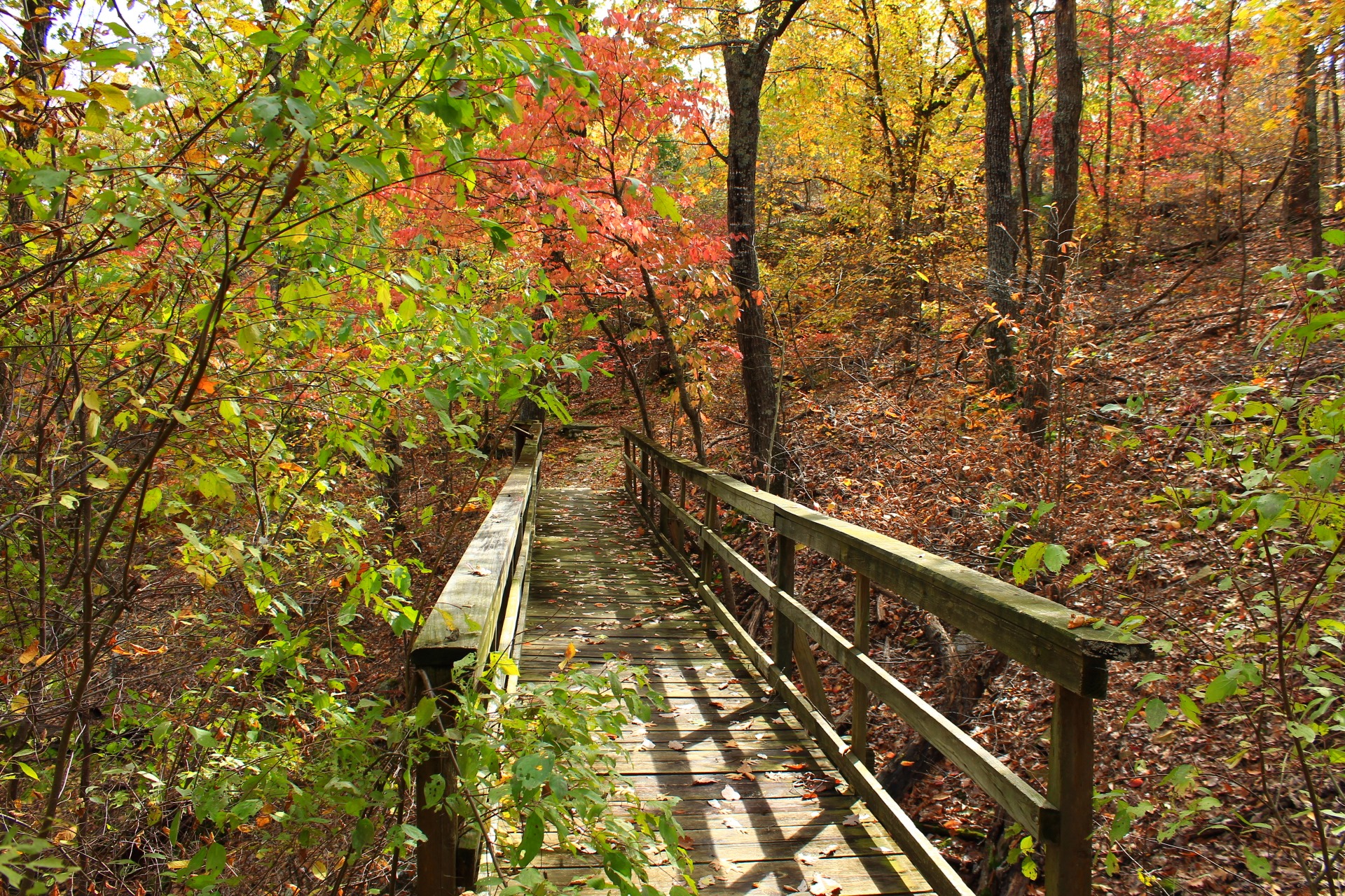 Northeast Oklahoma Trails Arklahoma Hiker