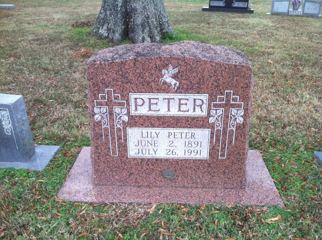Dicamba intrudes on the grave of an Arkansas legend, Lily Peter