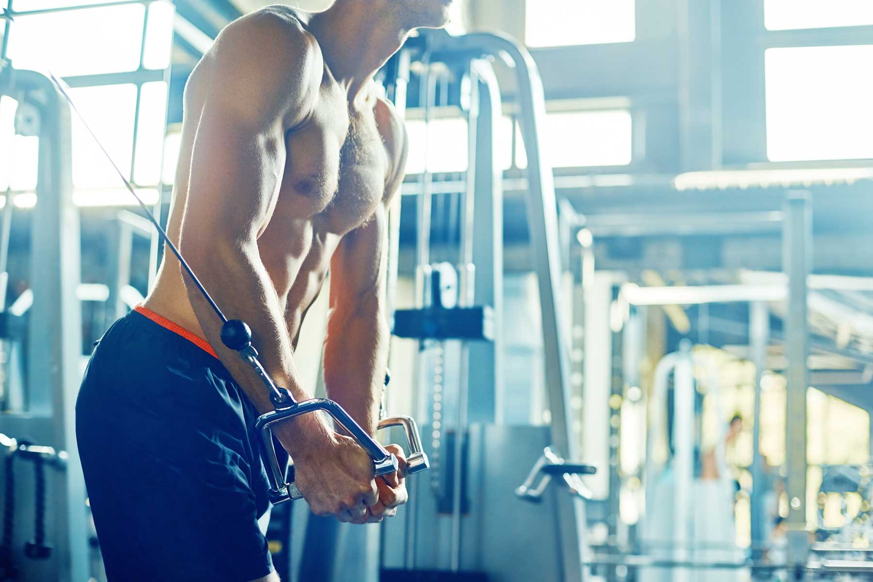 The Truth About Testosterone, Temperature, and Cold Plunging ARKTK