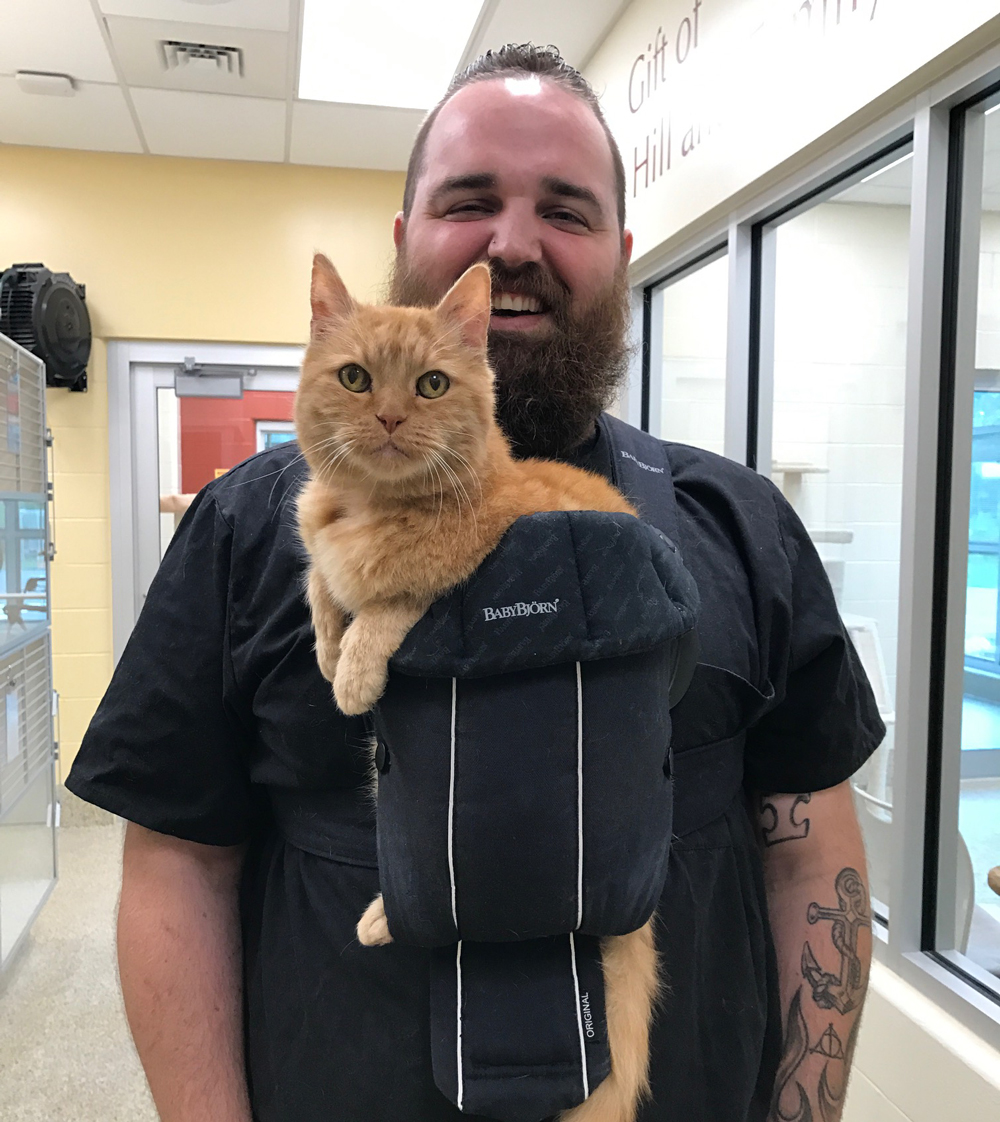 Dougie goes viral! Animal Refuge League of Greater Portland Maine