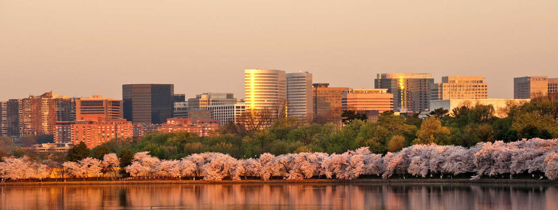 Altavista Condominium Arlington Va at Rachael Coleman blog