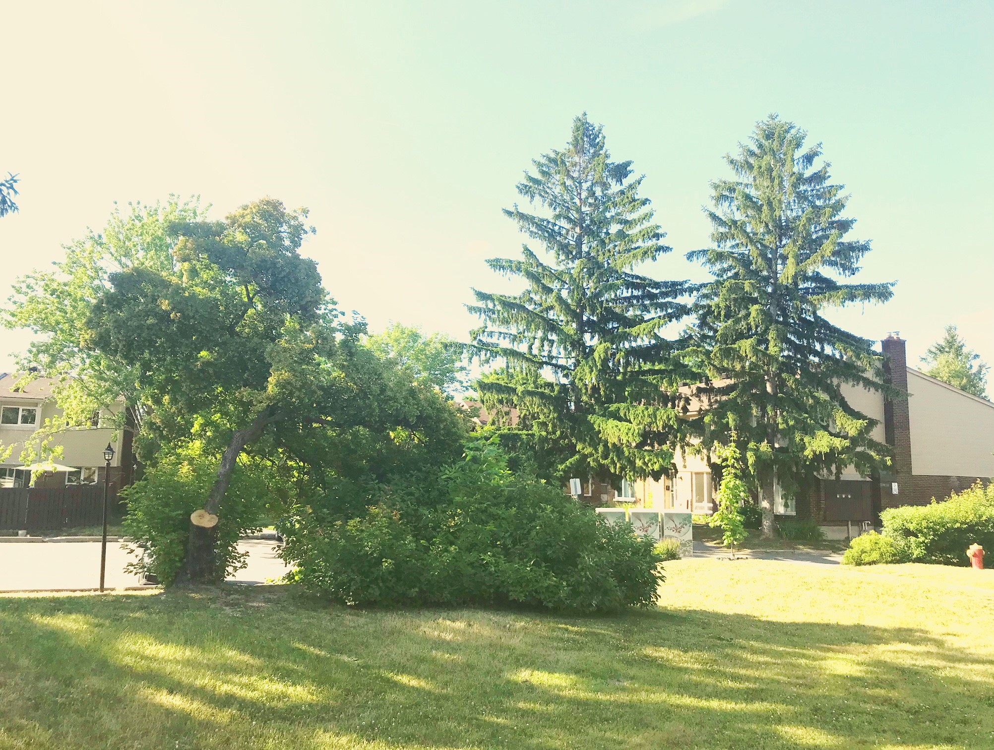 Arlington Place A site for 21 Midland Crescent