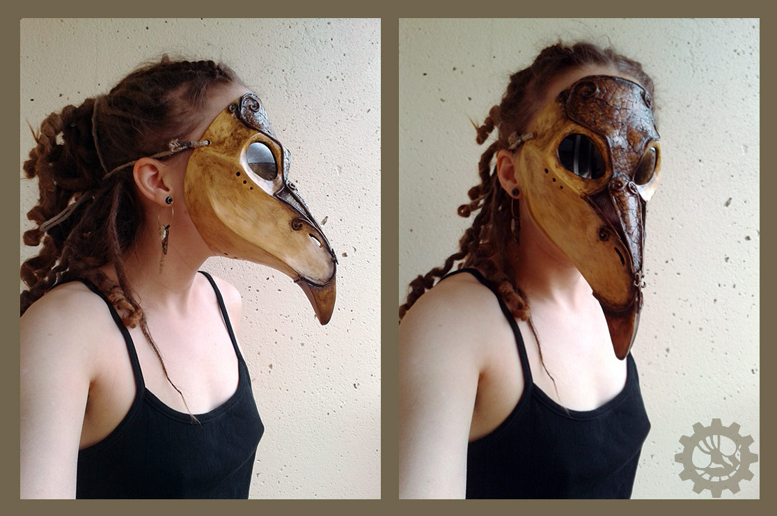 Masquerade Armadillo Artifacts