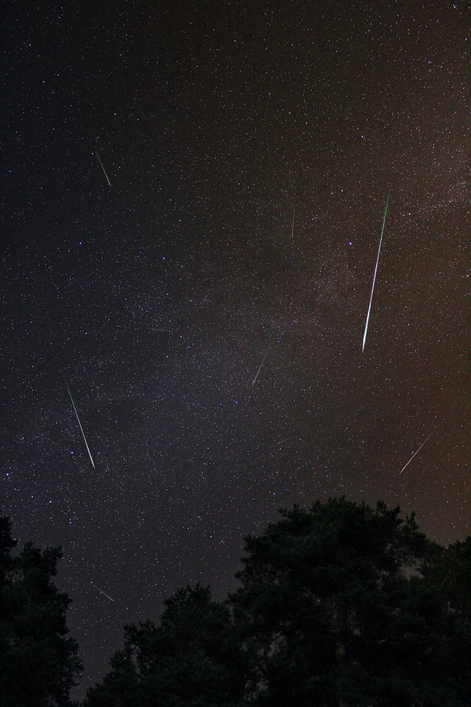 Perseids! All You Need to Know. Astronotes