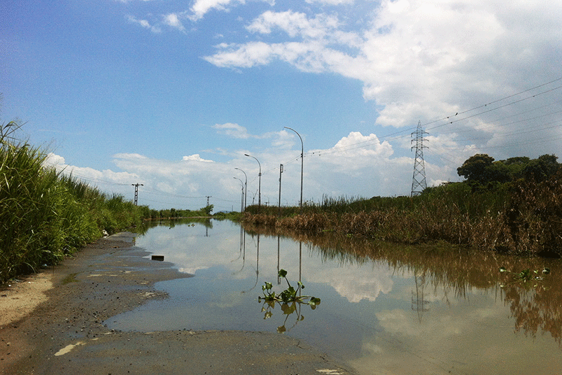 Water pollution in Valencia Lake, Venezuela