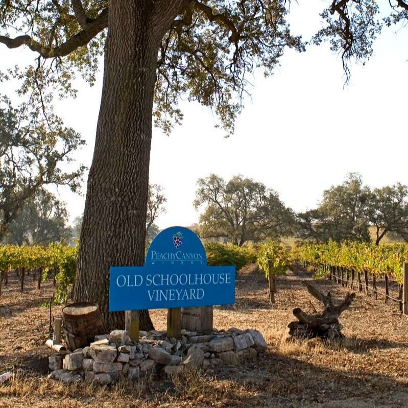 Find The Best Paso Robles Zinfandel Armchair Sommelier