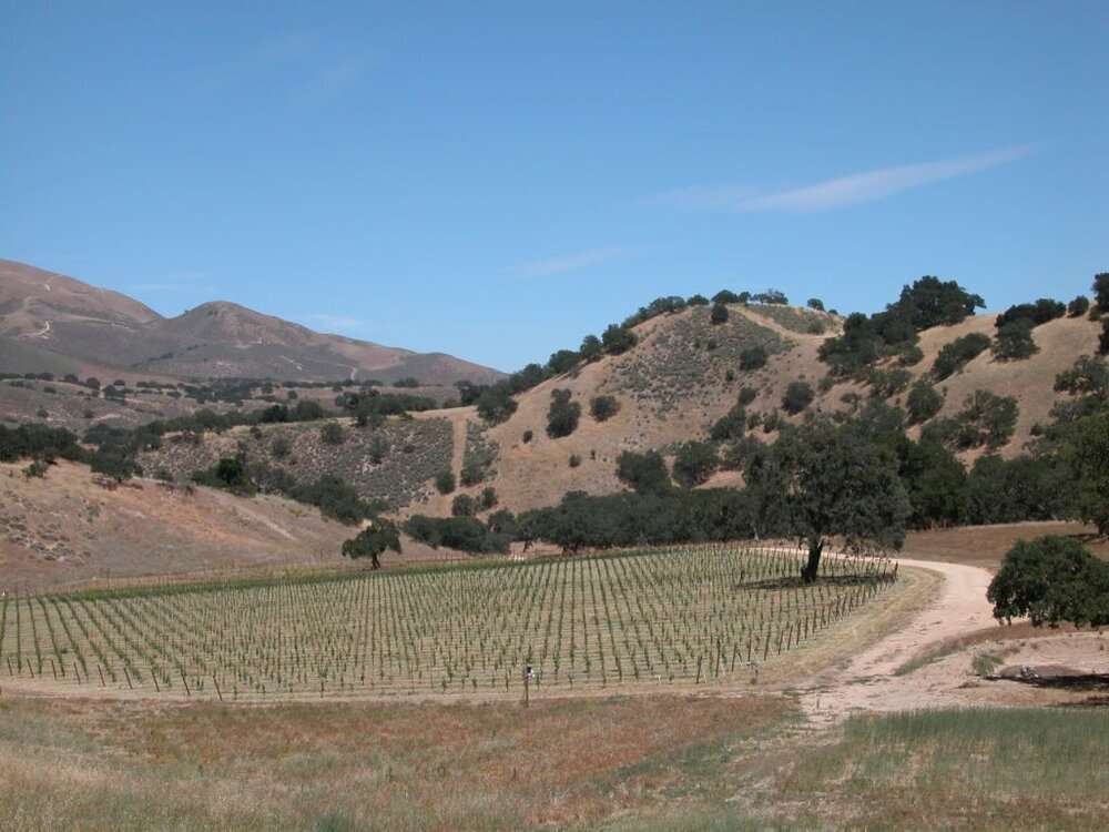 Ultimate Guide To Wine Tasting In Carmel Armchair Sommelier