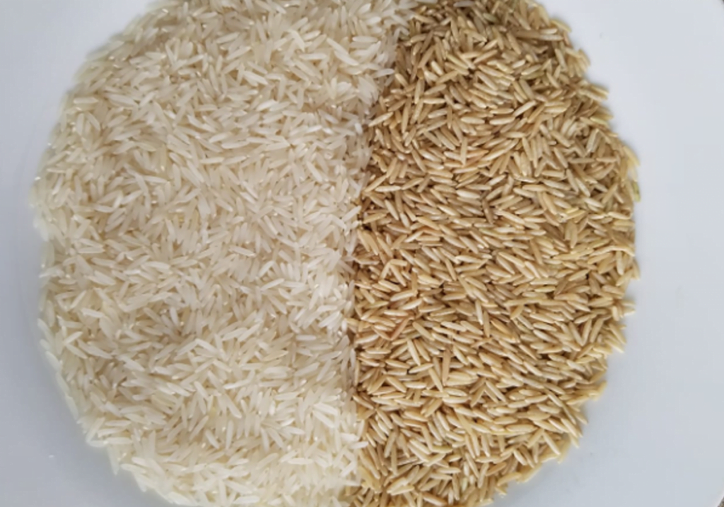 Organic and Conventional Rice