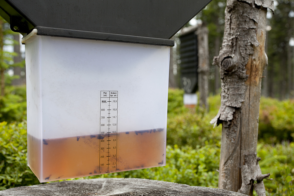 Armed & Ready Pest Services Top Pest Control In El Paso, TX