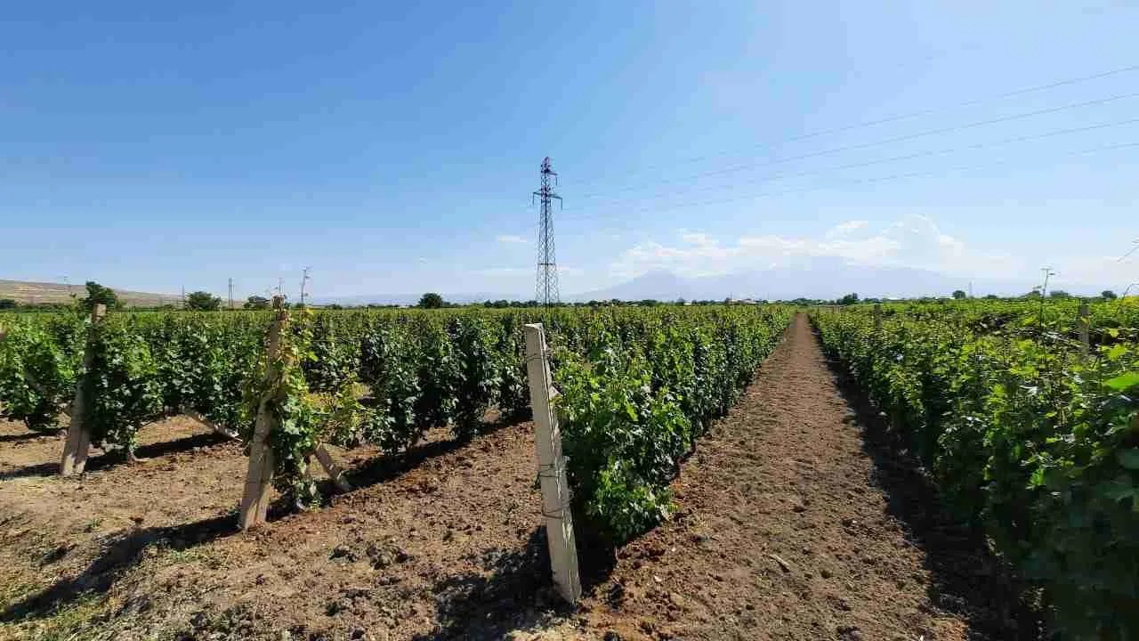 Real Estate in Armenia StepbyStep Guide to Buying (Updated 2022)