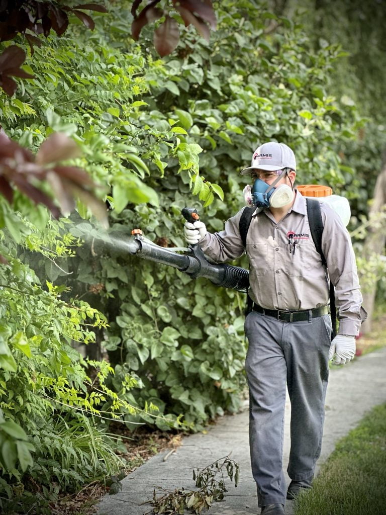 Armis Pest Control Boise ID Boise Pest Control