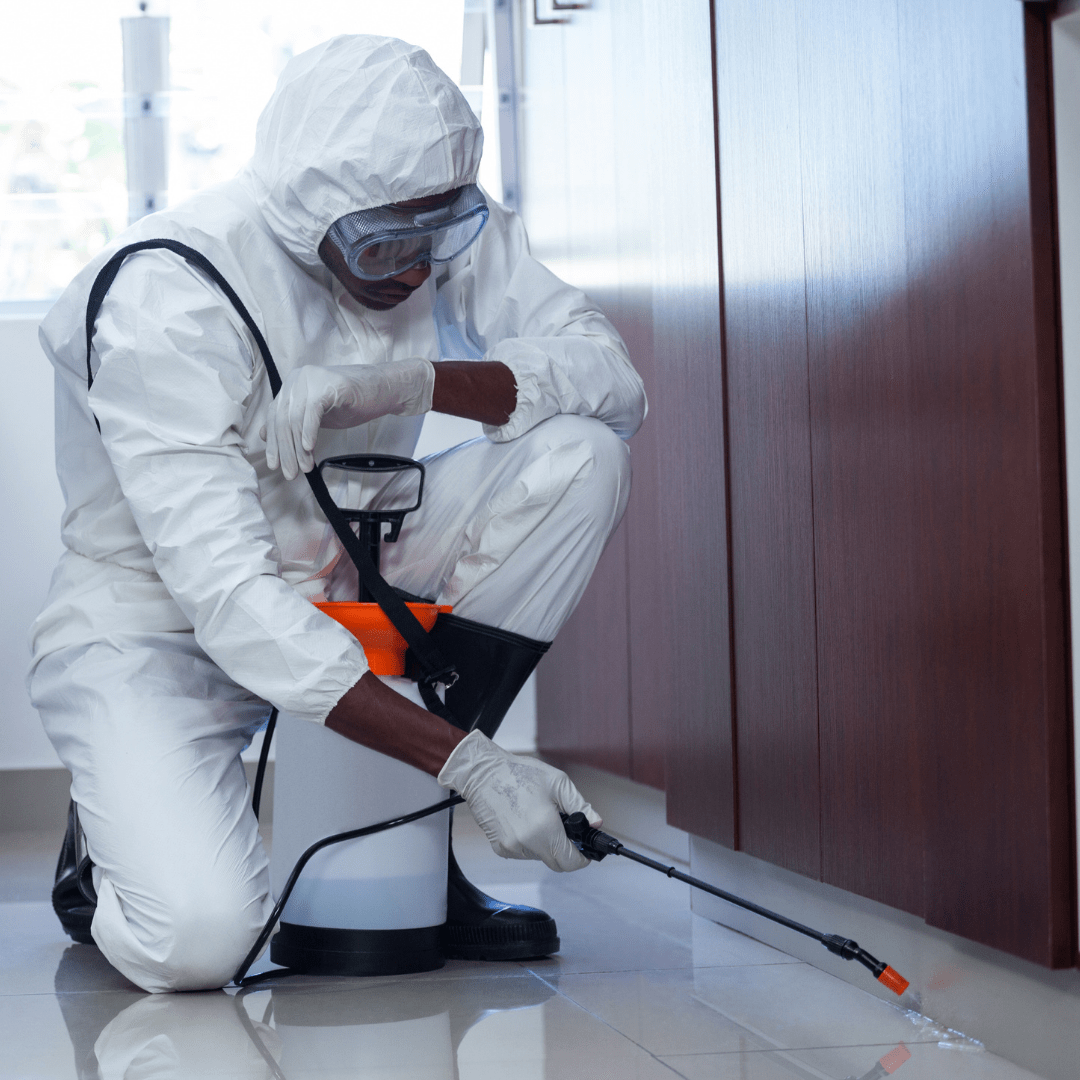 Hiring Armor Pest Control