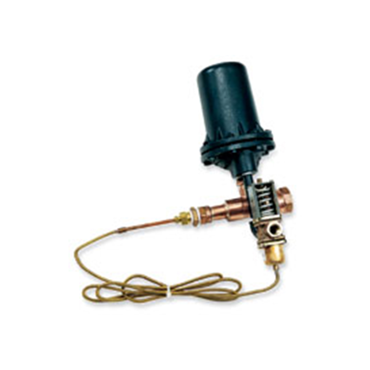 Condensate Cooler Drain Tempering Device Armstrong Americas