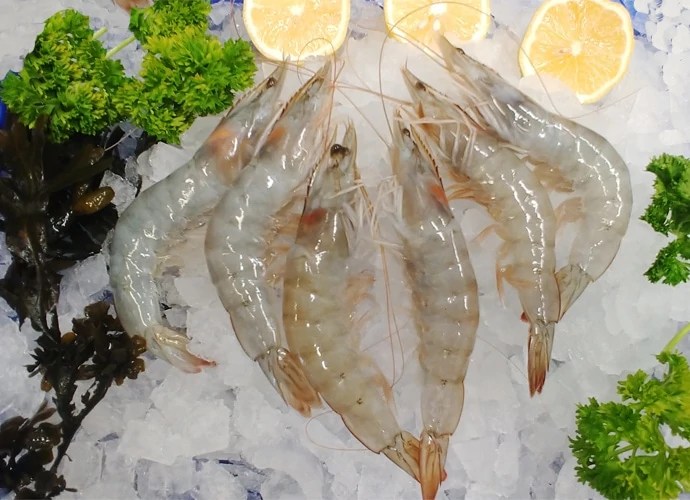 White Tiger Prawns Crevettes Armstrong's of Stockbridge