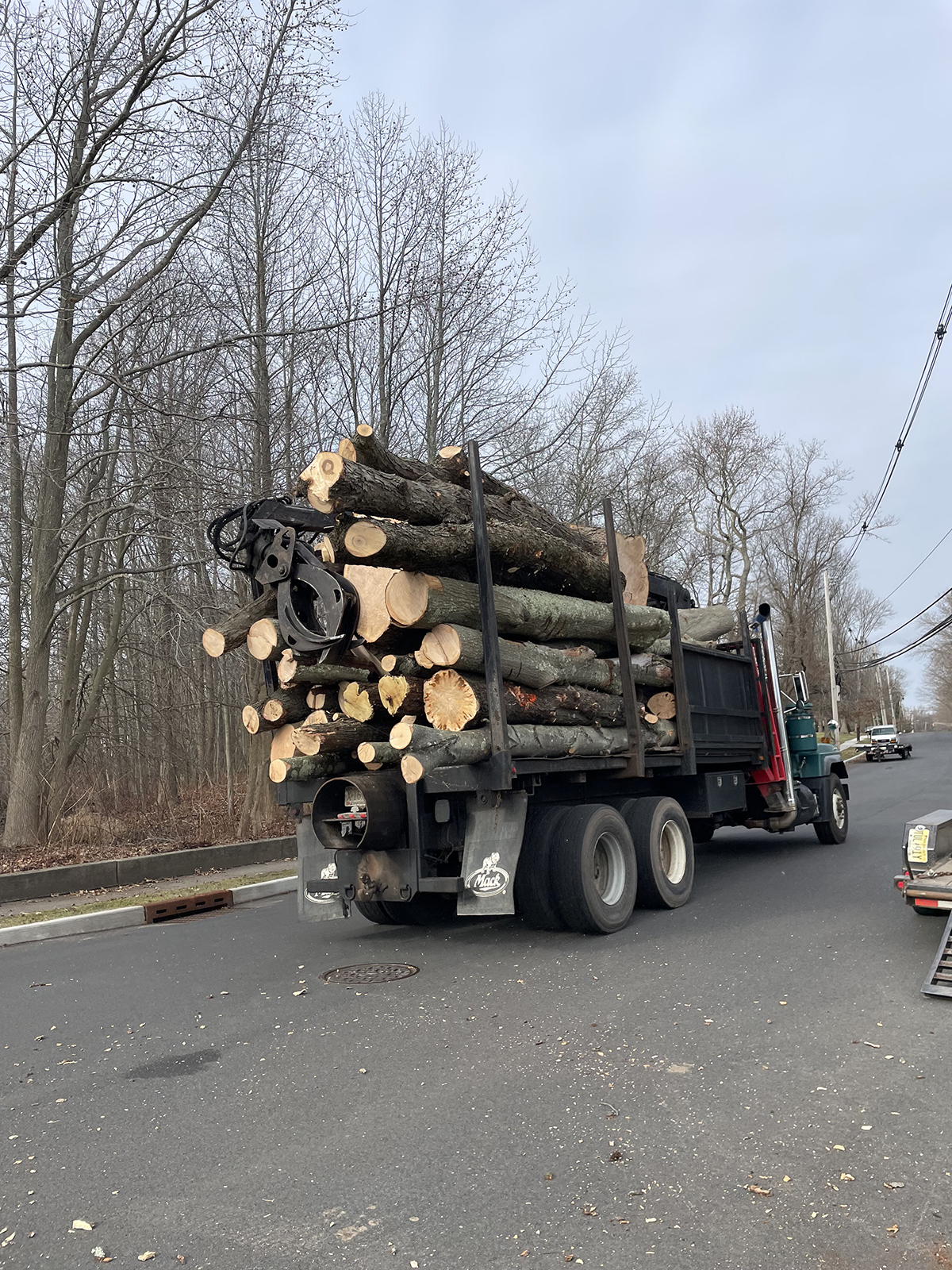 The boy and our toys Armstrong Tree Service