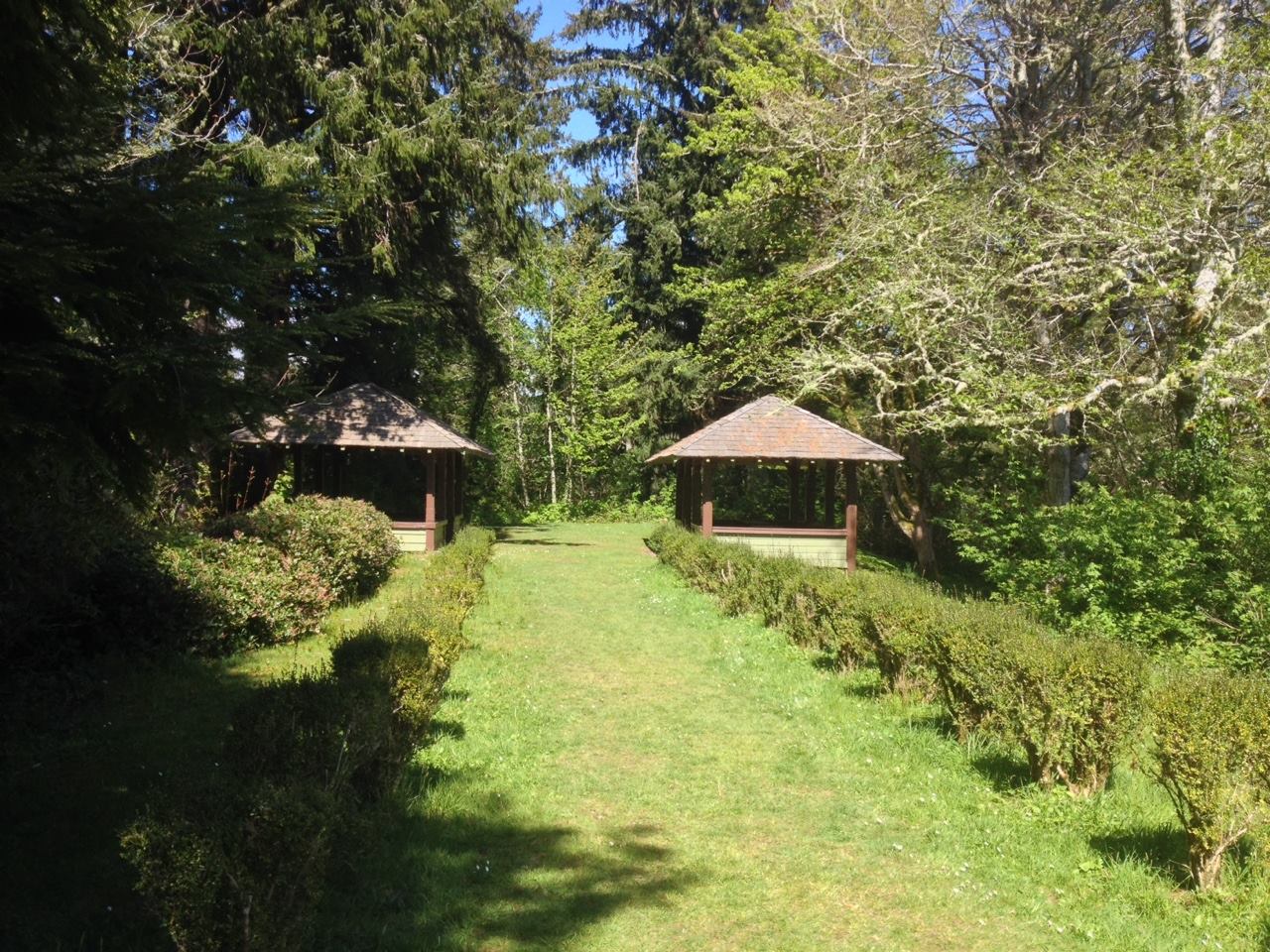 shivelypark Arnicadia dog Training