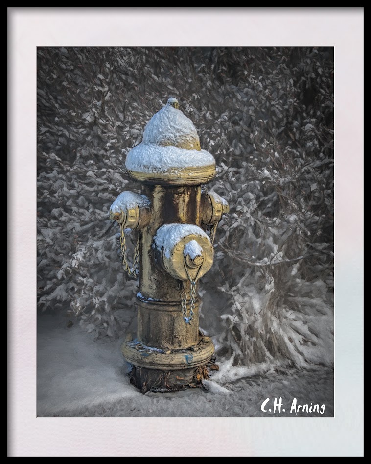 chilly day site_titlechilly day