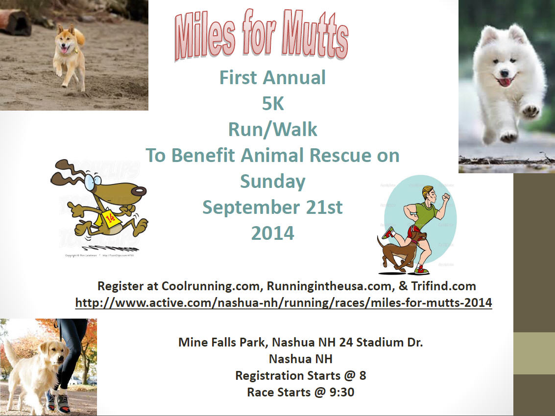 Miles for Mutts Animal Rescue Network of New England (ARNNE)