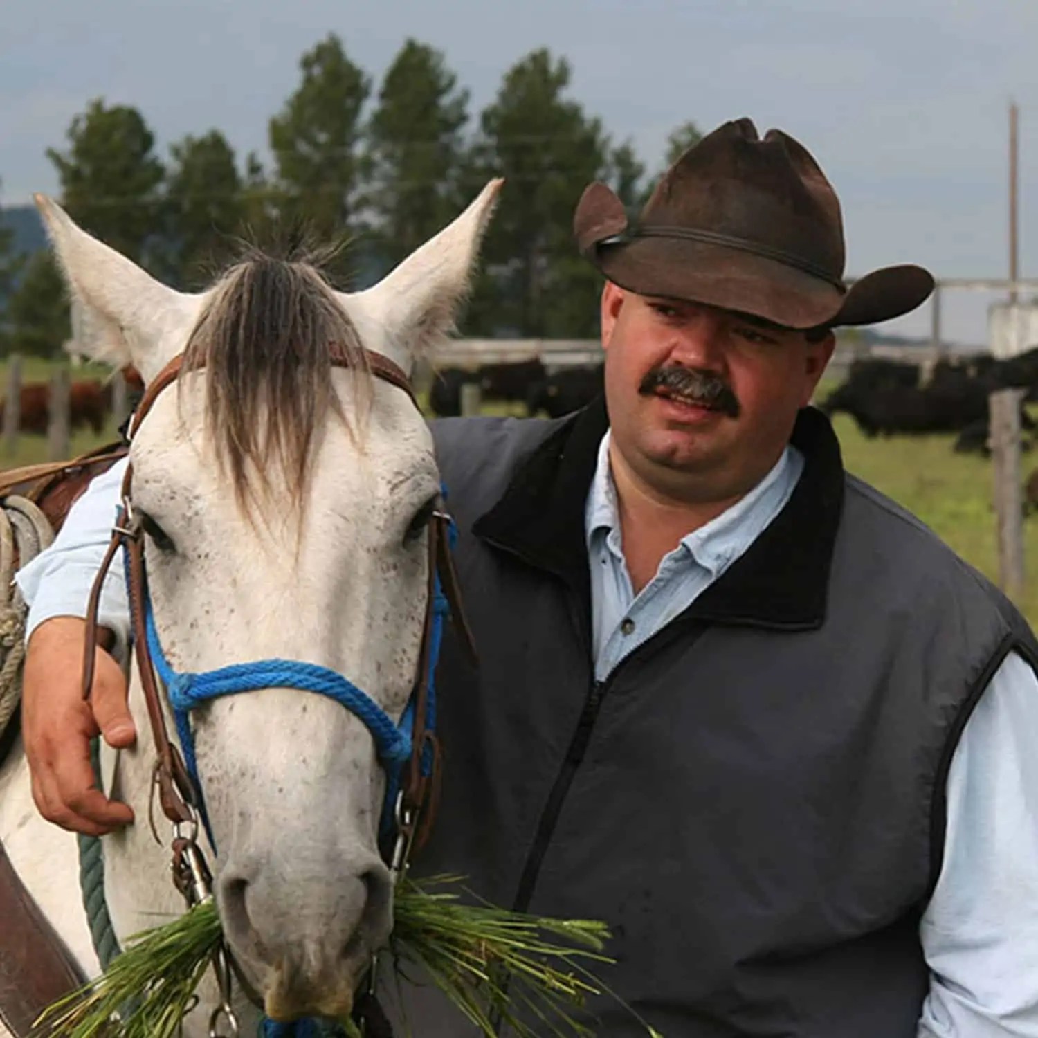 Wyoming Land Brokers Arnold Realty Newcastle, WY