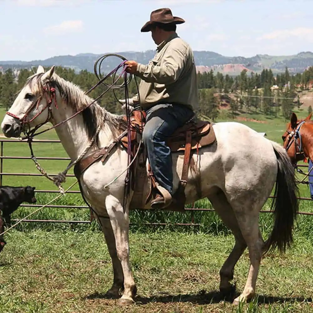 Wyoming Land Brokers Arnold Realty Newcastle, WY