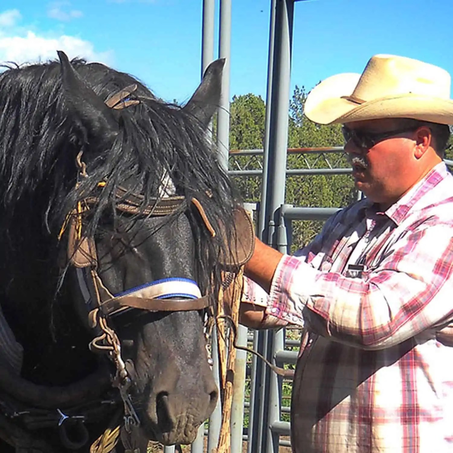 Wyoming Land Brokers Arnold Realty Newcastle, WY