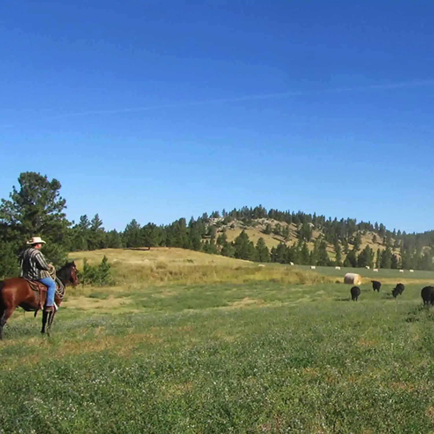Wyoming Land Brokers Arnold Realty Newcastle, WY