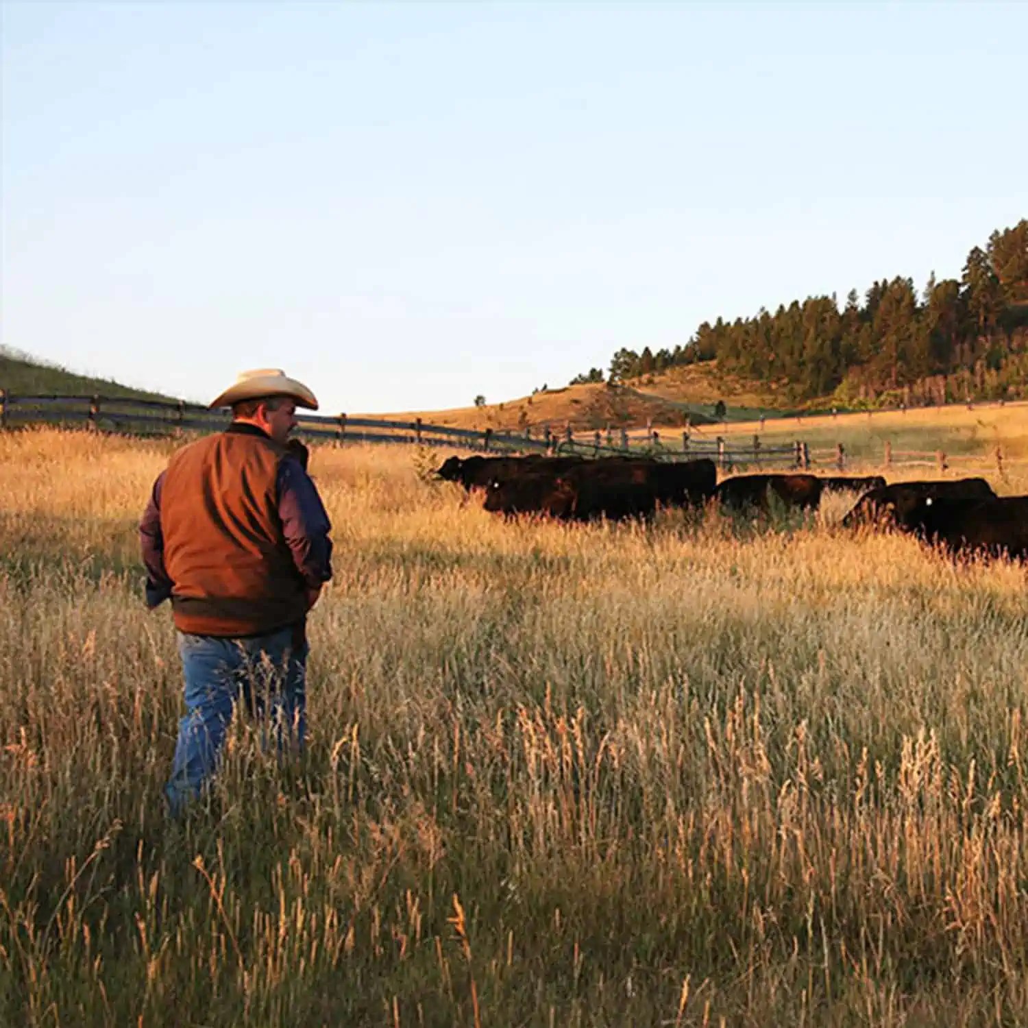 Wyoming Land Brokers Arnold Realty Newcastle, WY