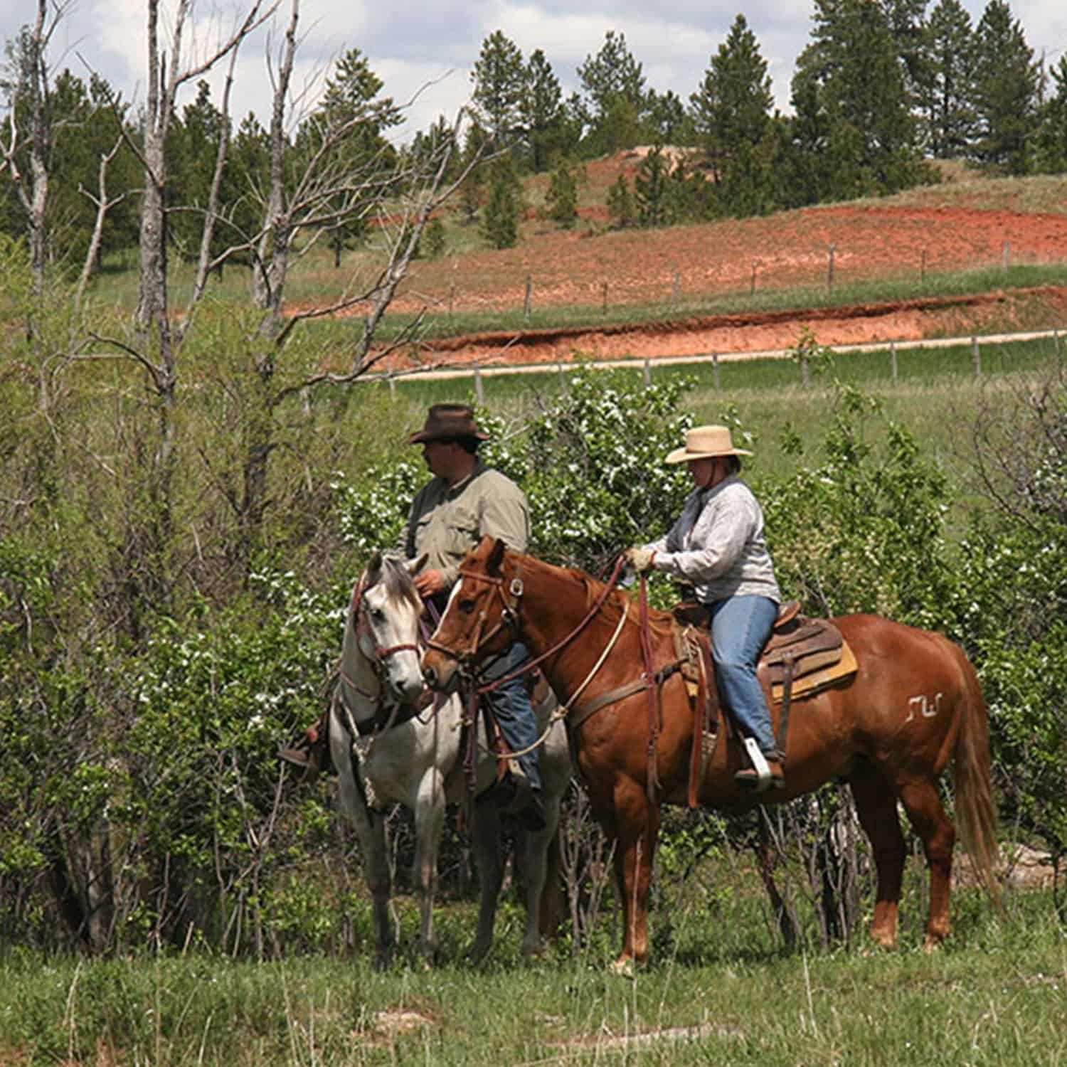 Wyoming Land Brokers Arnold Realty Newcastle, WY